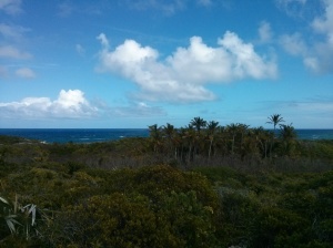 1a hike looking east