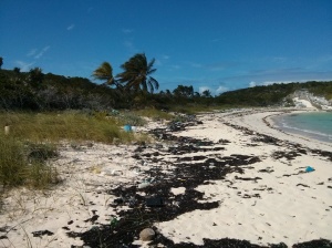 1f garbage on beach