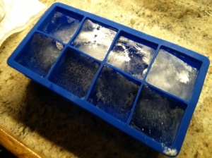 1m ice trays