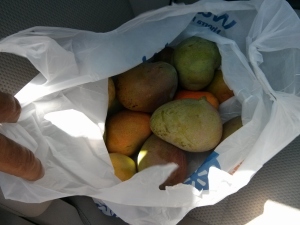 2b mangoes (1280x960)