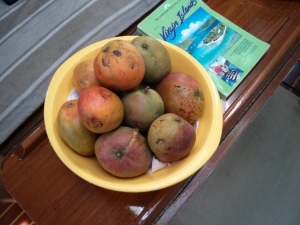 2c mangoes (1280x960)