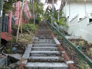2j 99 steps (1280x960)