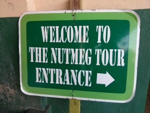 2d Nutmeg Processing Plant (1280x960)
