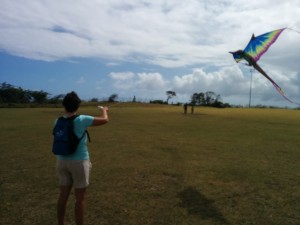 1a Kite day Nevis (1024x768)