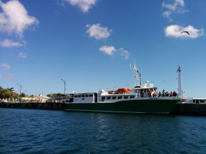1ff ferry (1024x768)
