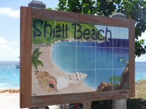 3 shell beach