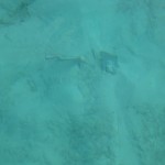 1a anchor 1a anchor
