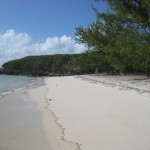 1b Lynyard Cay