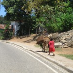 ??????????????????????????????? ???????????????????????????????