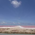 FA pink salt ponds
