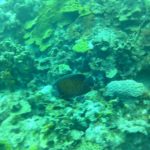 This photo is taken by AllWinner's v3-sdv This photo is taken by AllWinner's v3-sdv