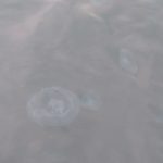 ABB jellyfish ABB jellyfish